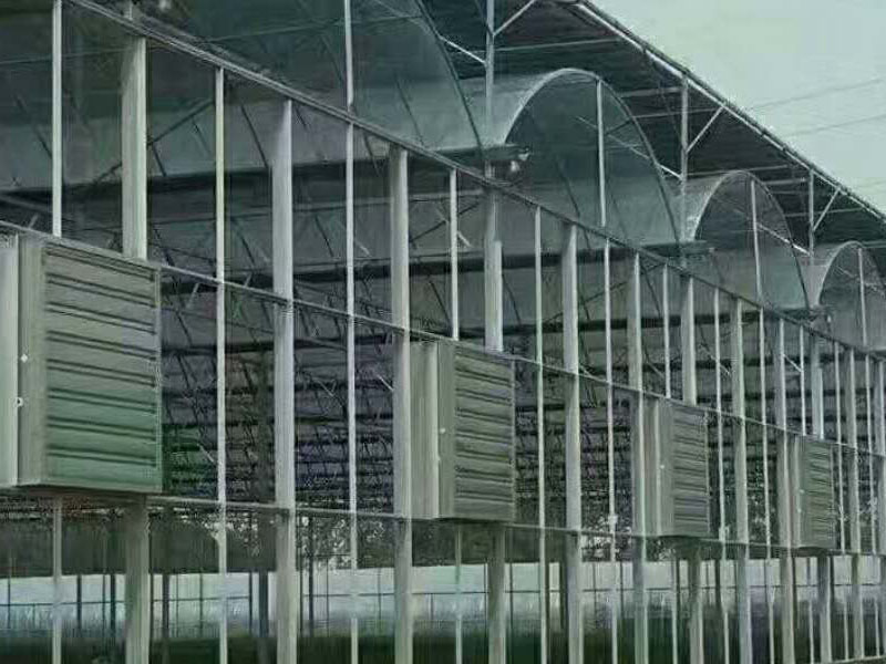 連棟大棚骨架