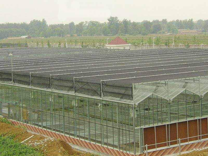 現(xiàn)代農(nóng)業(yè)大棚