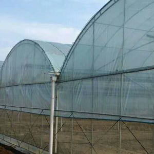 連棟大棚，用科技不斷升級