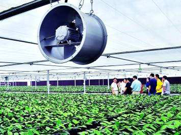 溫室供暖系統(tǒng)