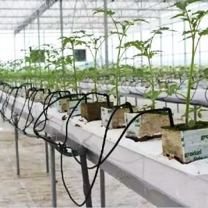 溫室水肥一體化