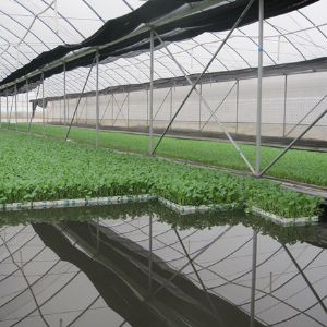 自動(dòng)噴淋系統(tǒng)