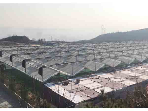 建設(shè)中的太原工地3.jpg
